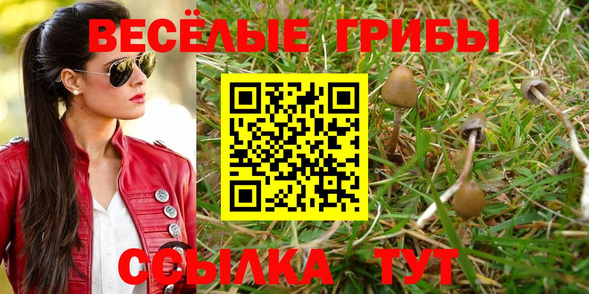 Воскресенск  Псилоцибиновые грибы ЛСД  Вход с VPN  Галлюциногенные грибы Magic Shrooms 