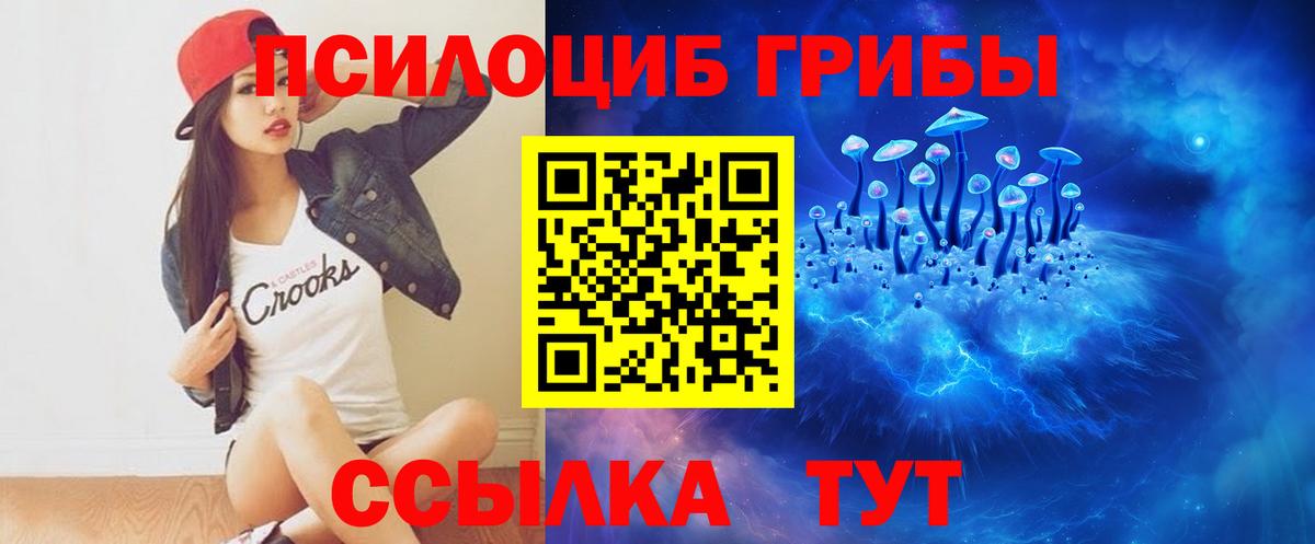 Галлюциногенные грибы GOLDEN TEACHER Воскресенск